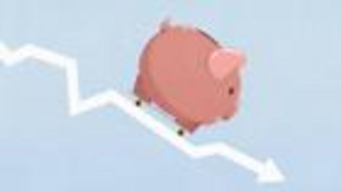 Fleischerzeugung: Wenn Schweinepreise drücken