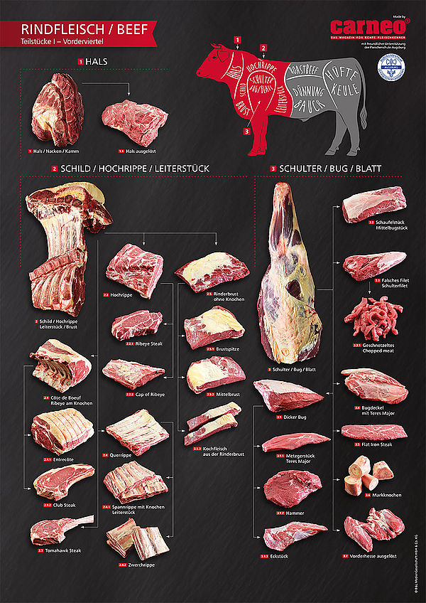 Plakatserie Teilstücke und BeefCuts Deutscher FleischerVerband