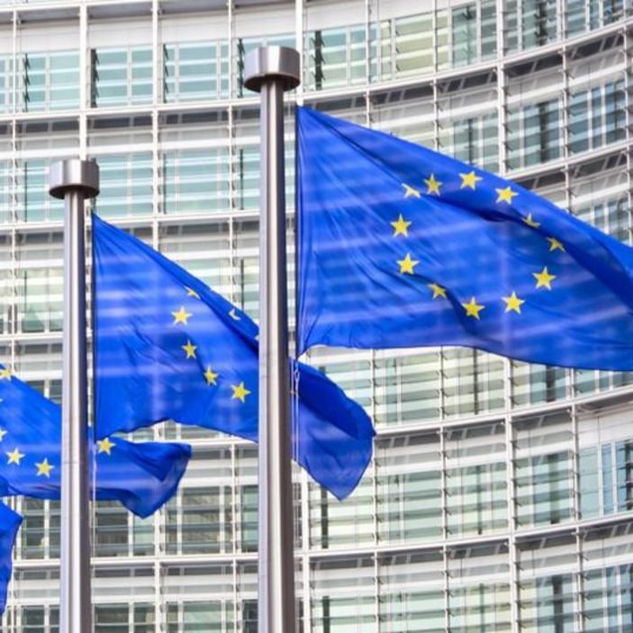 Gemeinsames Forderungspapier der Handwerksverbände zur EU-Entwaldungsverordnung