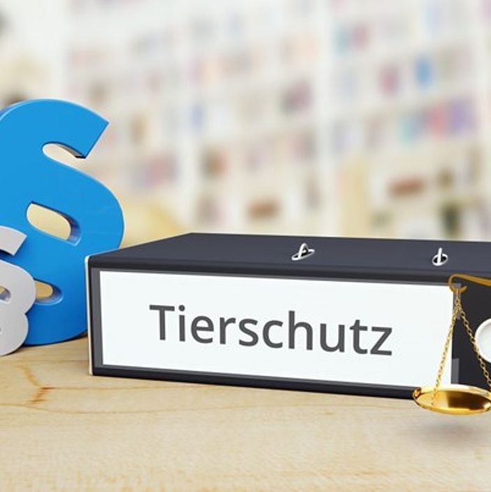 Bundesrat nimmt Stellung zum Tierschutzgesetz